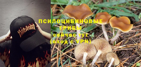 прущий лед Рославль